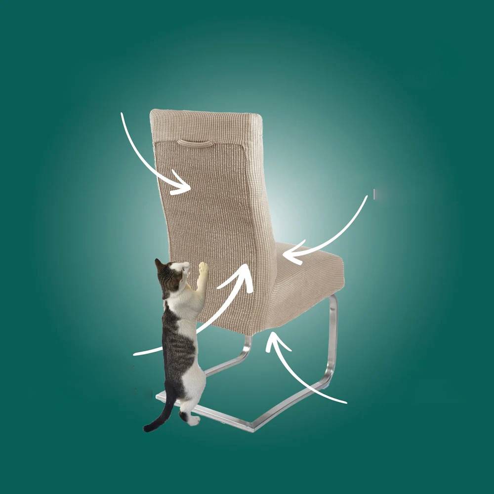 FeliGuard™ – Funda protectora antiestrés para gatos
