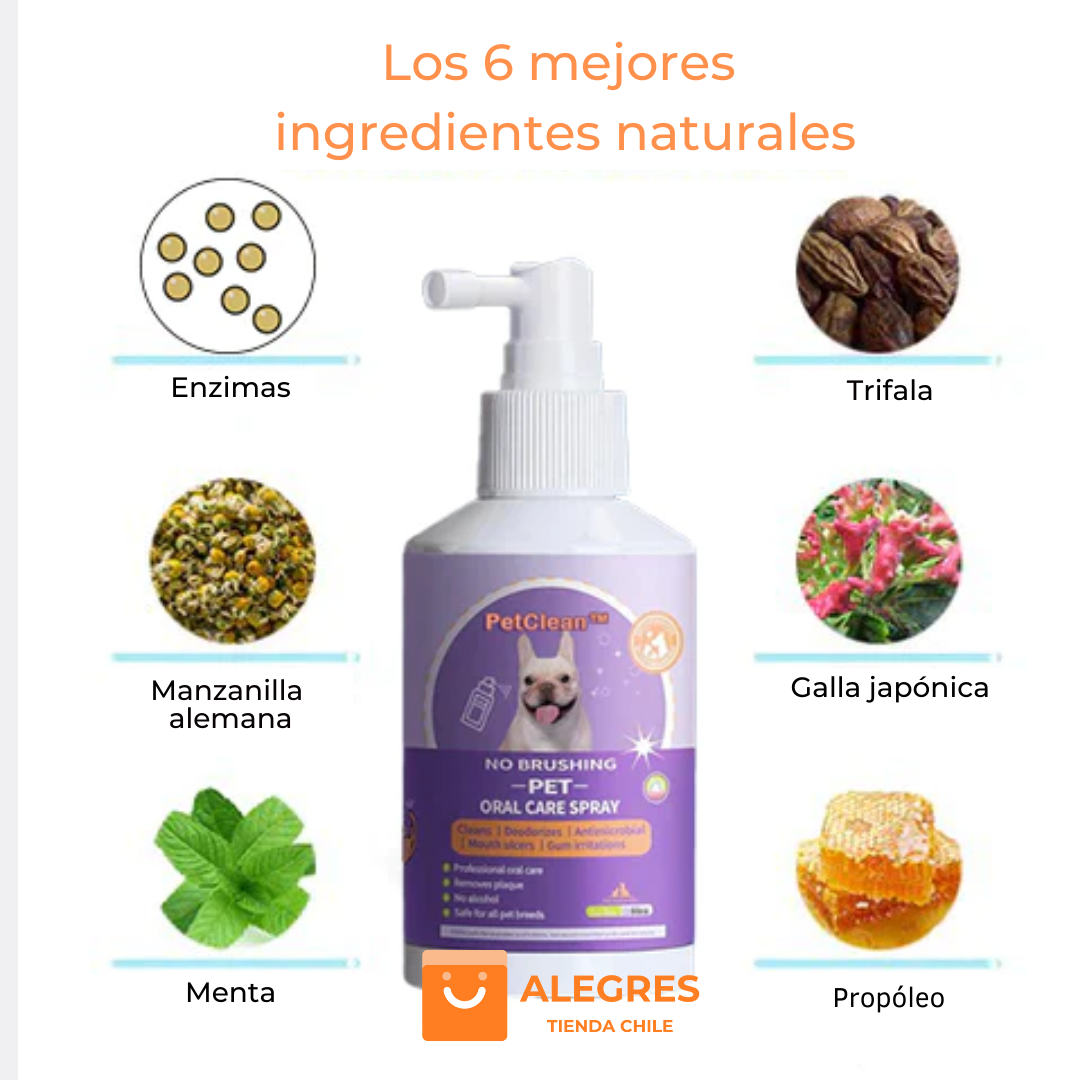 PetClean™ - Aerosol 100 % Natural para el cuidado bucal de perros y gatos
