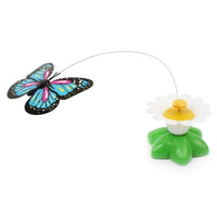 Mariposa