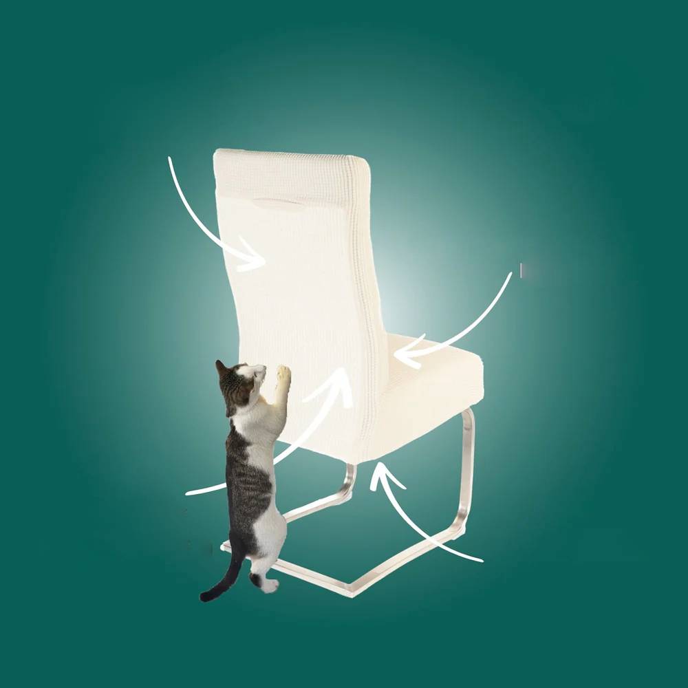 FeliGuard™ – Funda protectora antiestrés para gatos