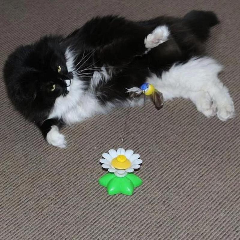 Flutter™ - Juguete interactivo para gatos