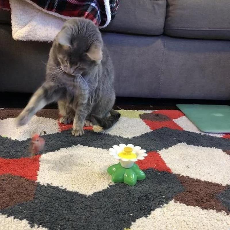 Flutter™ - Juguete interactivo para gatos