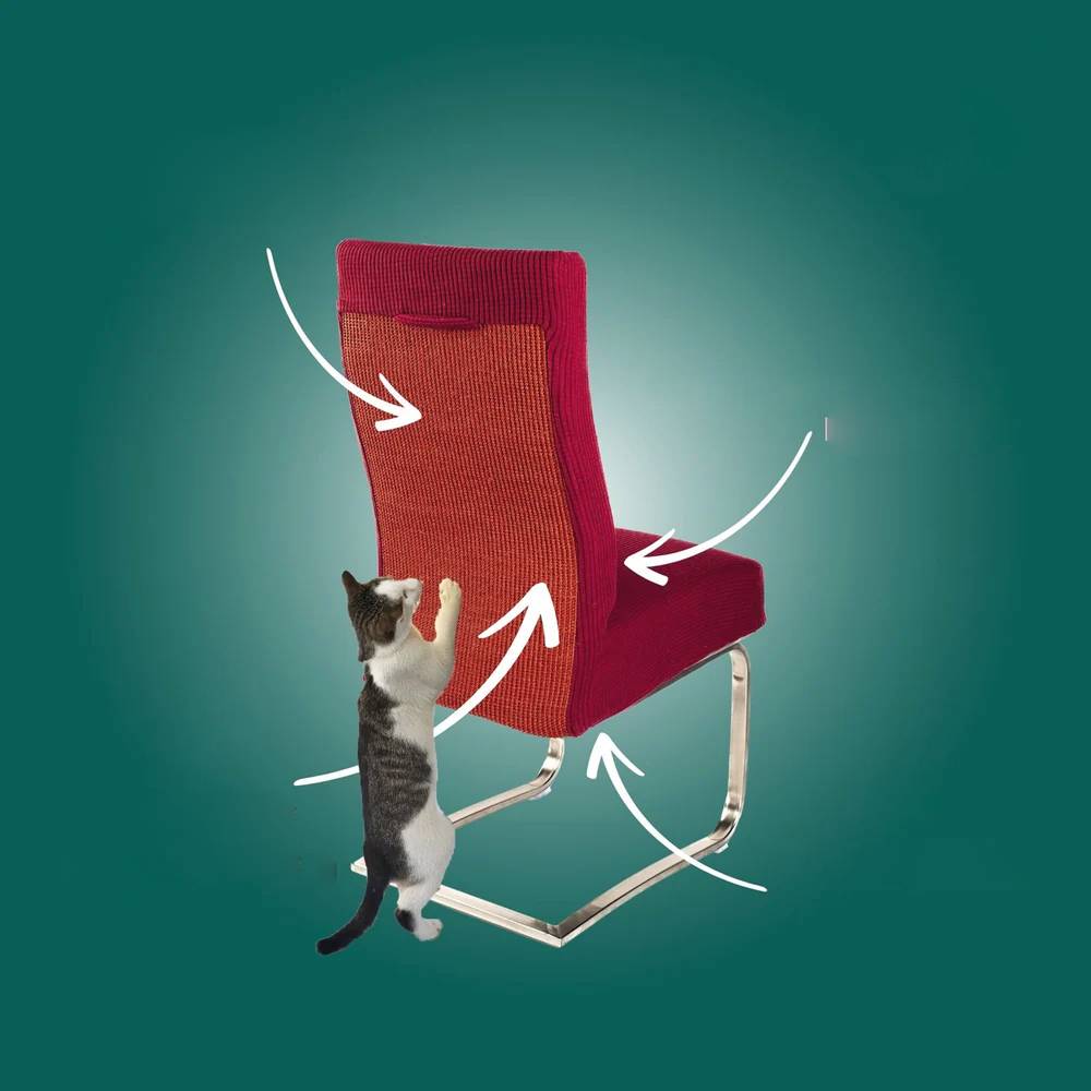 FeliGuard™ – Funda protectora antiestrés para gatos