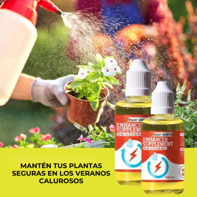 Easyrule™ - Suplemento potenciador del crecimiento de plantas