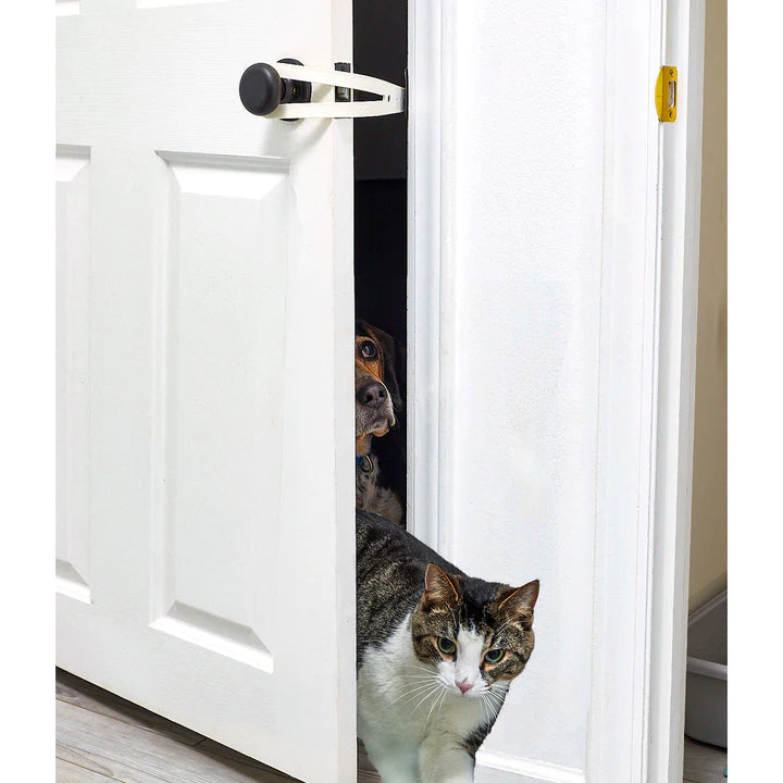STRIPFLEX™ - SOPORTE DE PUERTA PARA GATOS