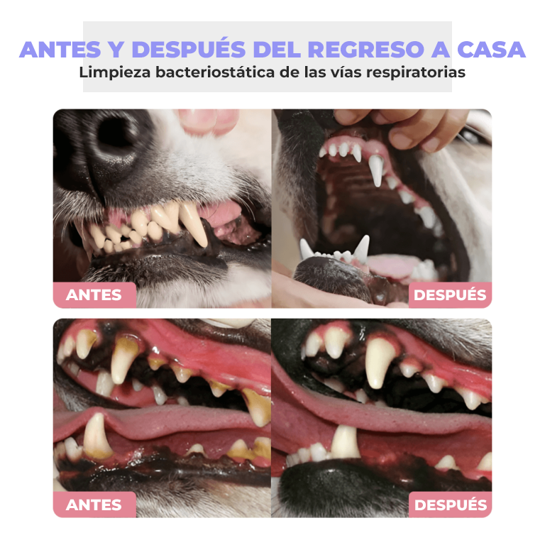 PetPure™ - Elimina el sarro de mascota en 3 días