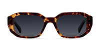 TIGRIS CARBON