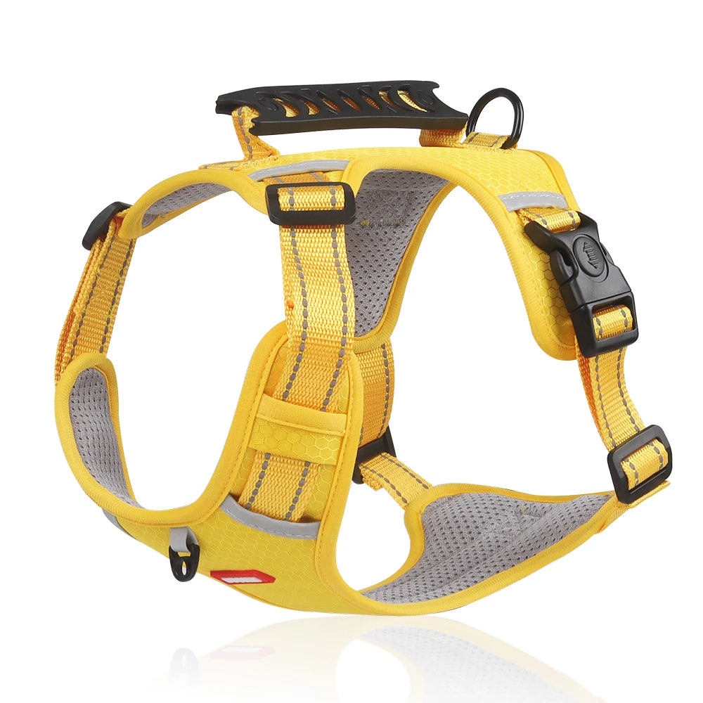 DogSafe™ Correa antitirones para perros