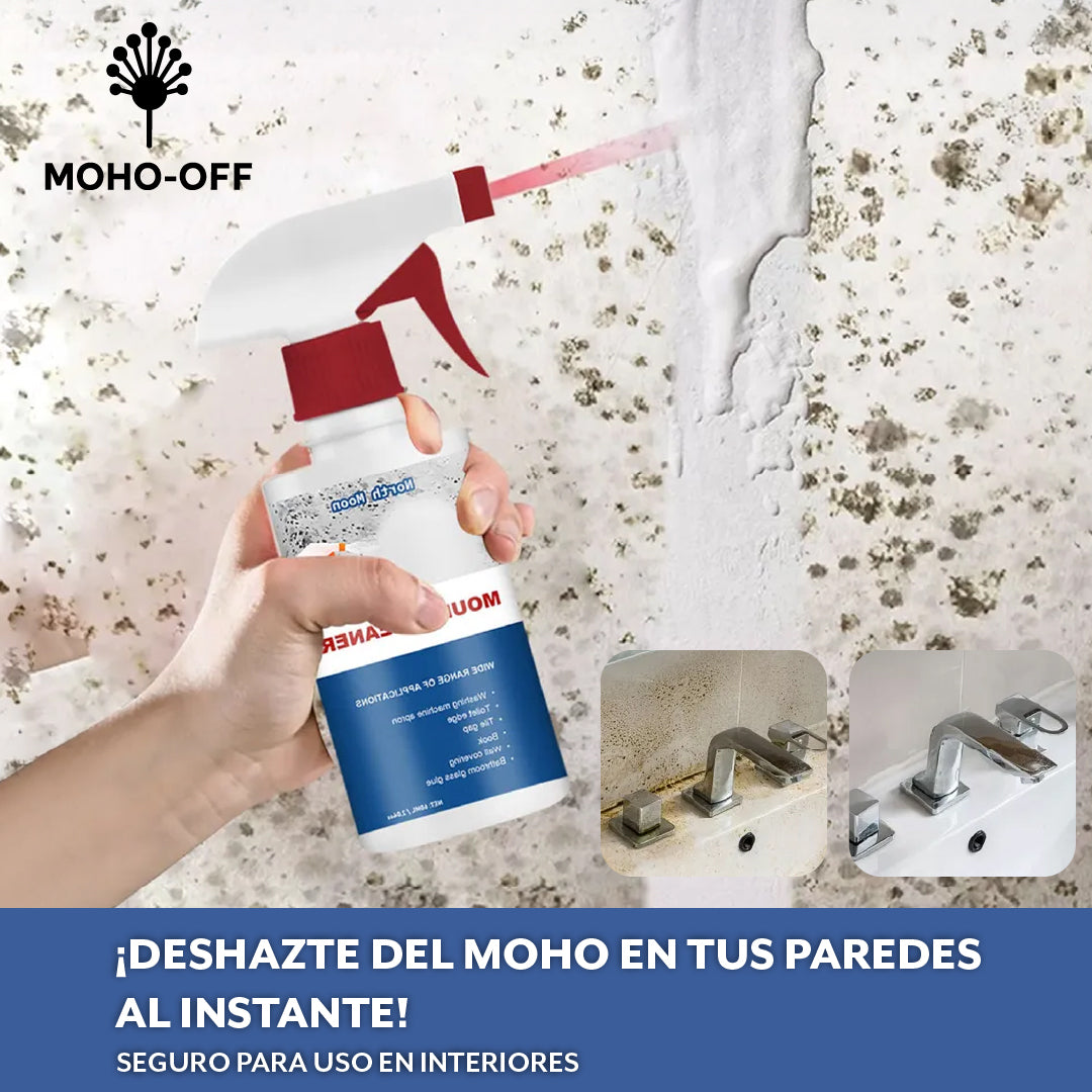 Moho-off™ – Elimina el moho sin esfuerzo