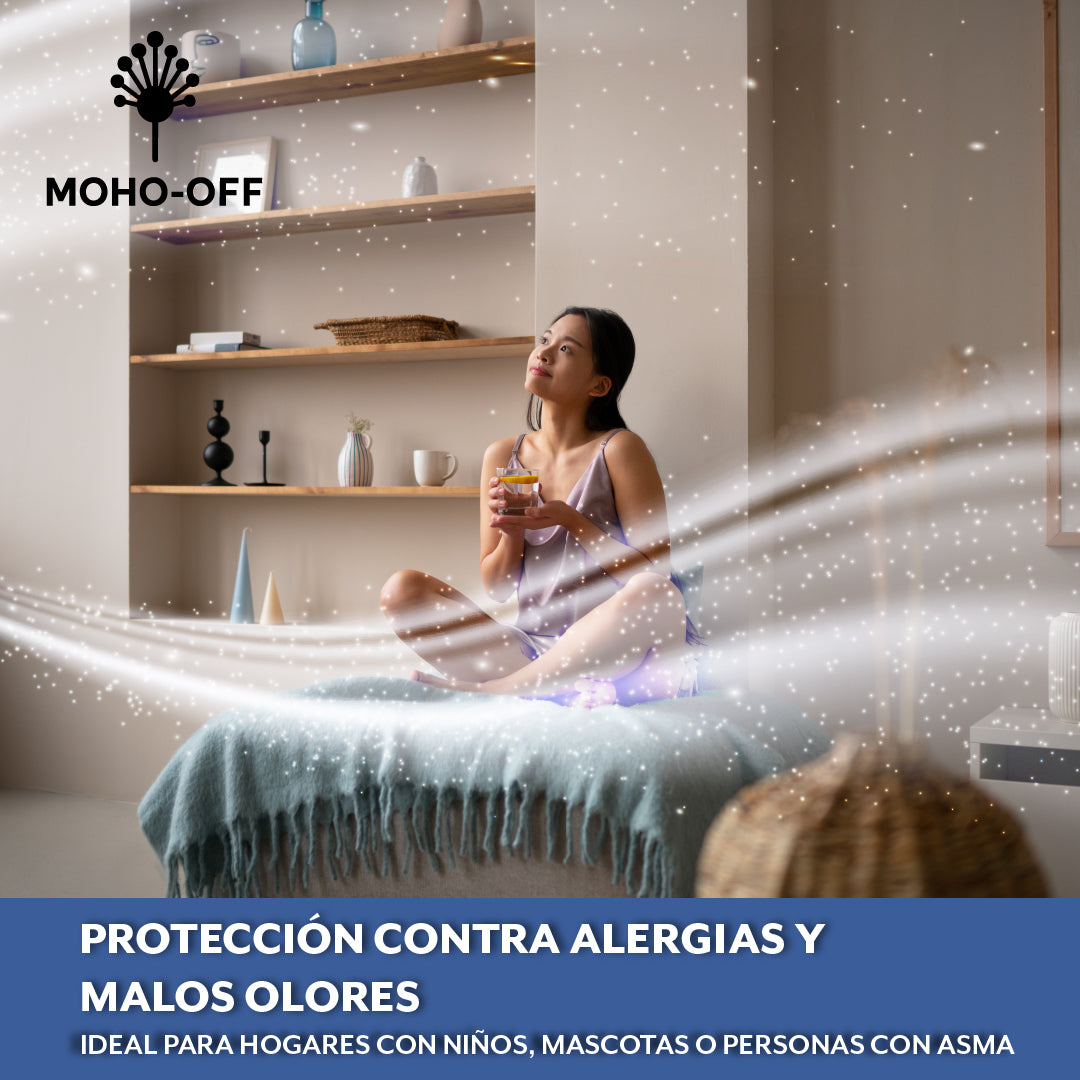 Moho-off™ – Elimina el moho sin esfuerzo