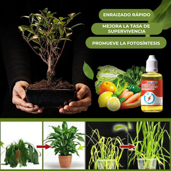 Easyrule™ - Suplemento potenciador del crecimiento de plantas