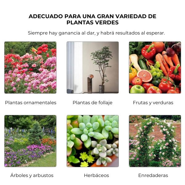 Easyrule™ - Suplemento potenciador del crecimiento de plantas