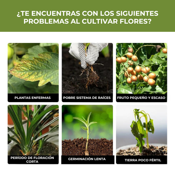 Easyrule™ - Suplemento potenciador del crecimiento de plantas