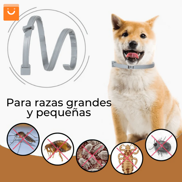 FleaShield™- collar antiparásitos para mascotas