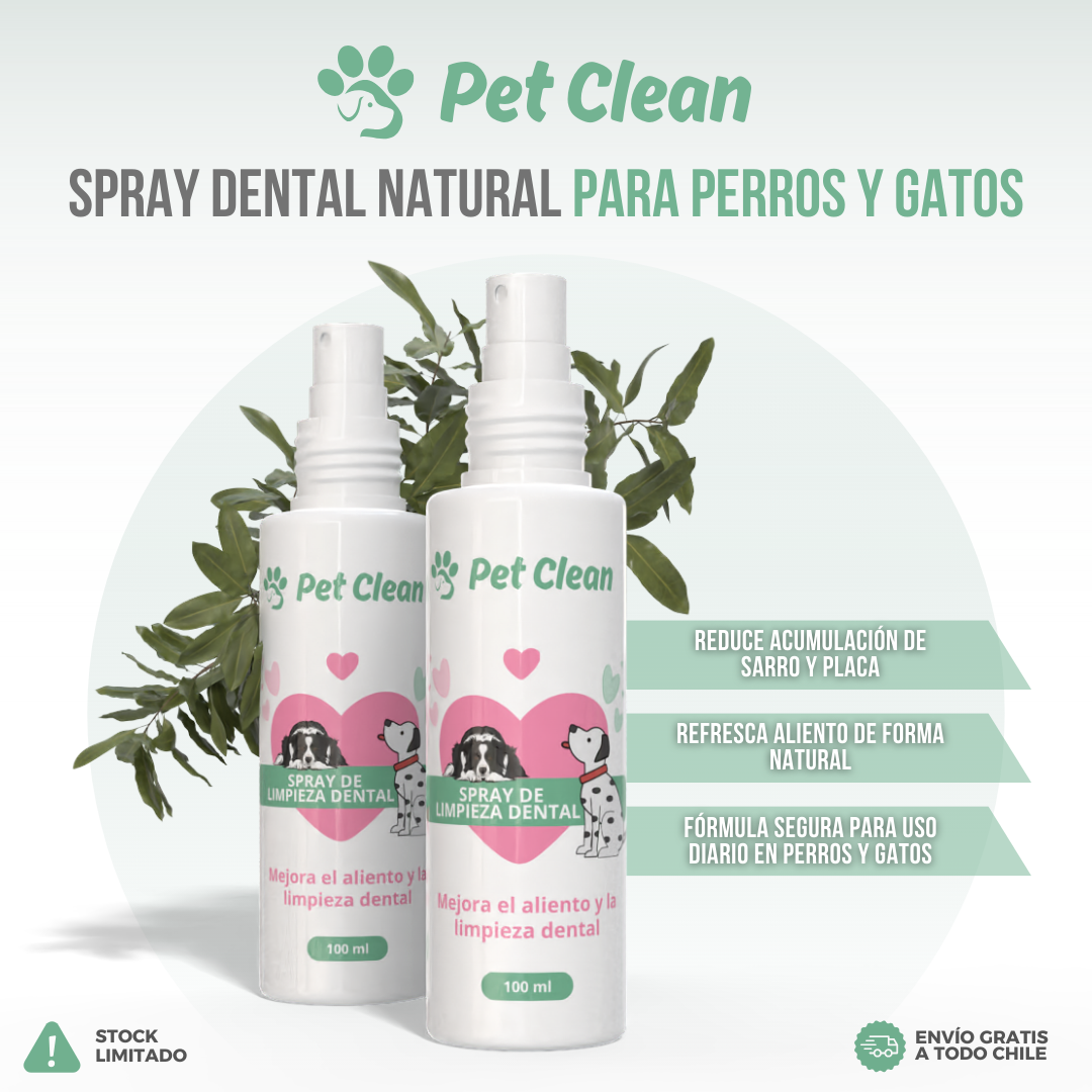 Pet Clean™ — Aliento fresco y dientes sanos, sin peleas ni cepillos