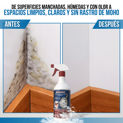 MoldAway™ - El moho se va, la limpieza queda