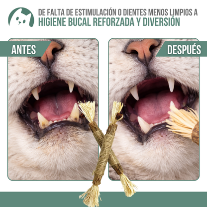 Natural Sticks™ — Juego natural, menos estrés y más felicidad felina