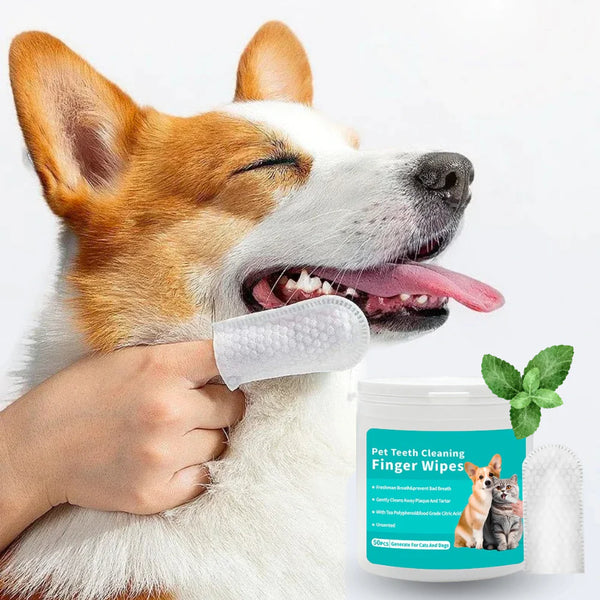 Dentalpup™ - Toallas limpiadoras de dientes para perros