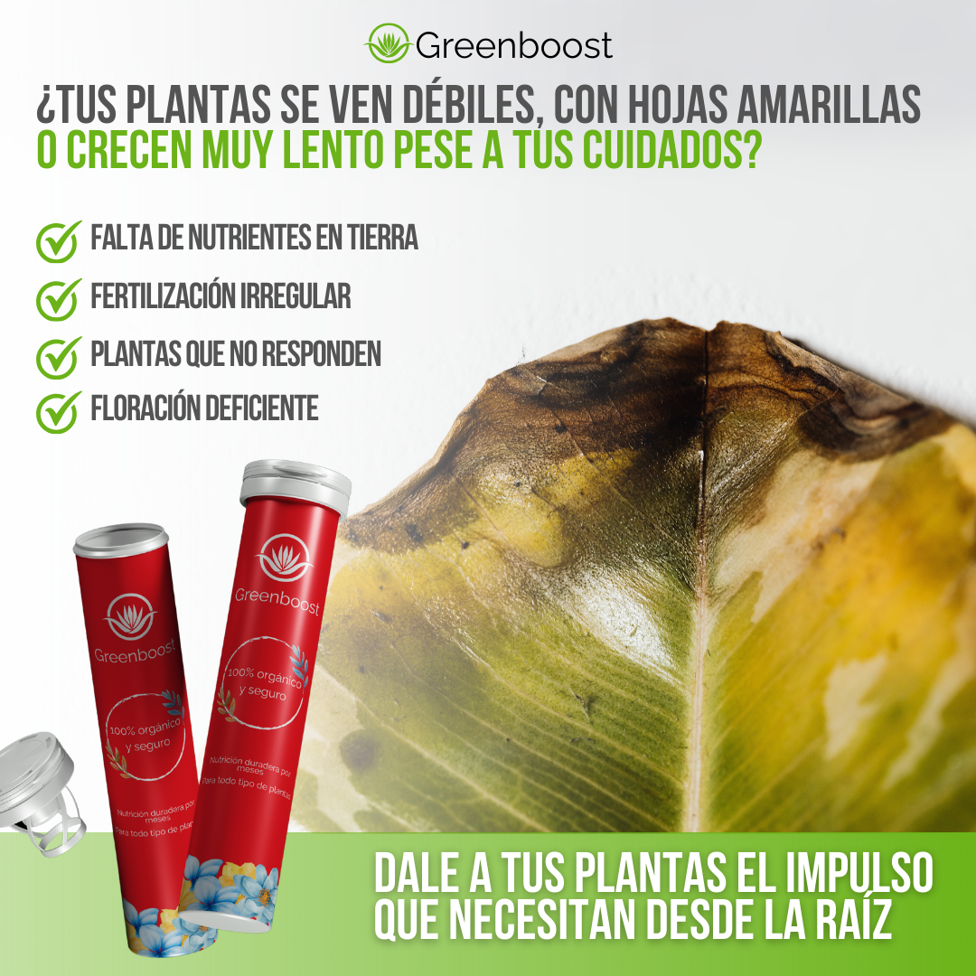 Greenboost™ - Nutrición natural que dura, resultados que se notan
