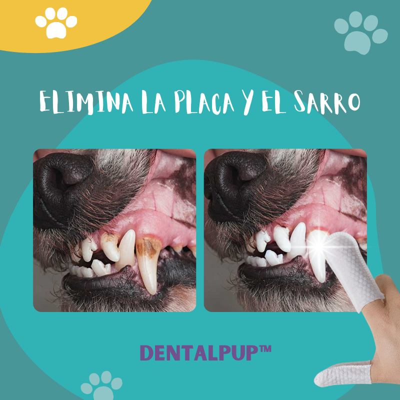 Dentalpup™ - Toallas limpiadoras de dientes para perros