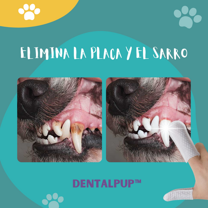 Dentalpup™ - Toallas limpiadoras de dientes para perros
