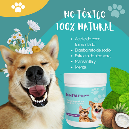 Dentalpup™ - Toallas limpiadoras de dientes para perros
