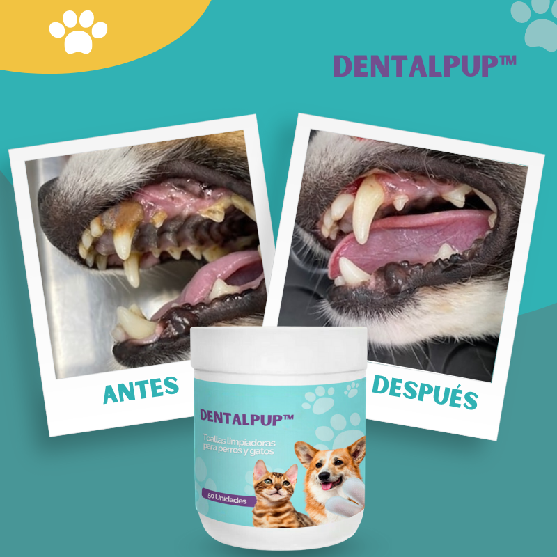 Dentalpup™ - Toallas limpiadoras de dientes para perros