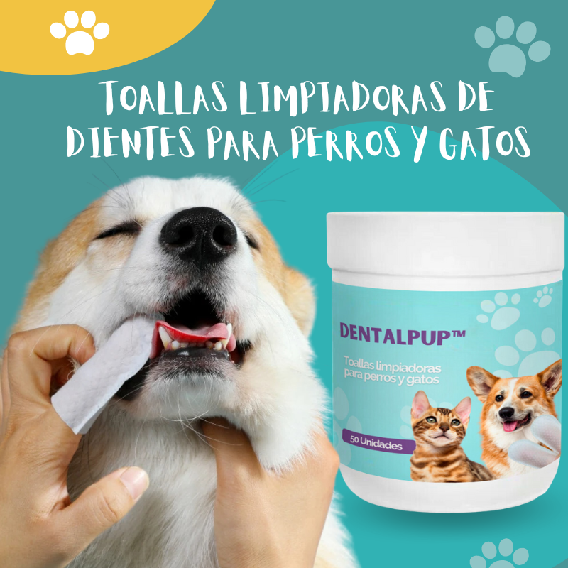Dentalpup™ - Toallas limpiadoras de dientes para perros