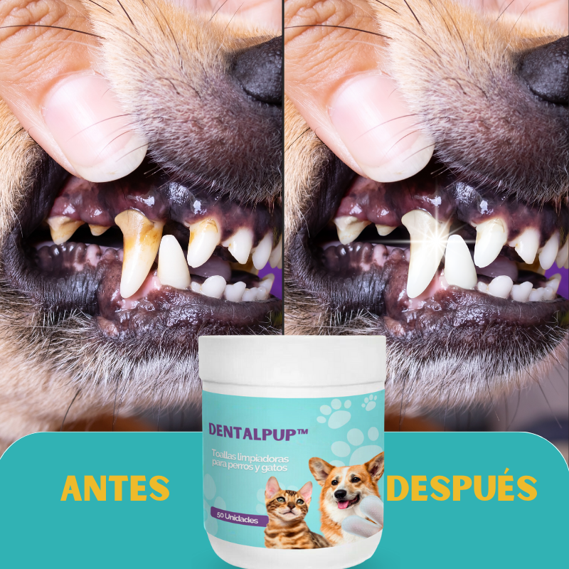 Dentalpup™ - Toallas limpiadoras de dientes para perros