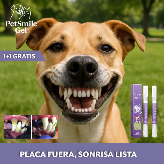 PetSmile Gel™ – Blanquea y sana sin cepillar