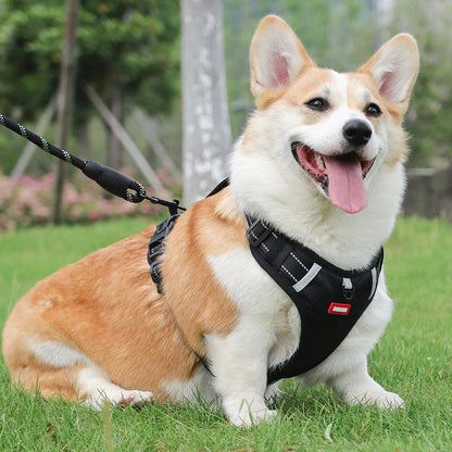 DogSafe™ Correa antitirones para perros