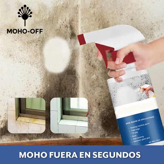 Moho-off™ – Elimina el moho sin esfuerzo