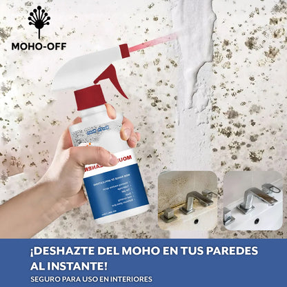 Moho-off™ – Elimina el moho sin esfuerzo
