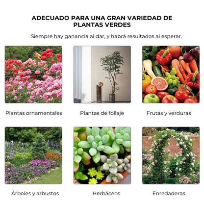 Easyrule™ - Suplemento potenciador del crecimiento de plantas